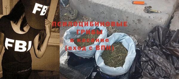 герыч Арсеньев