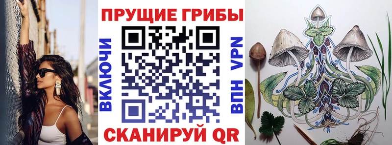 Галлюциногенные грибы Magic Shrooms  Обоянь 